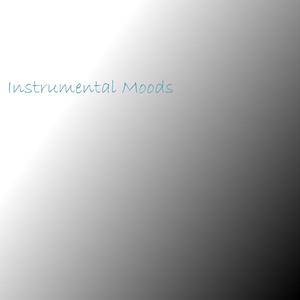 无码成人精品区一级毛片
