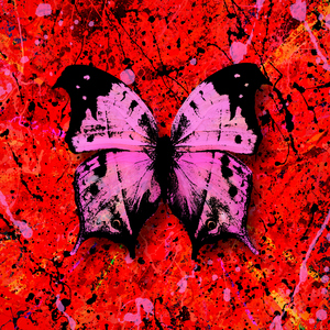 波斯丰满性XXXXHD
