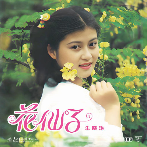 波斯丰满性XXXXHD
